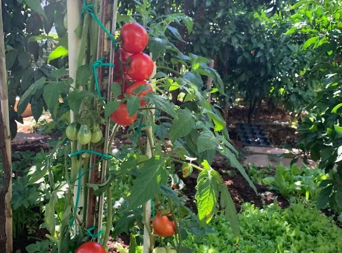 Romantic For Two Persons Гостевой дом