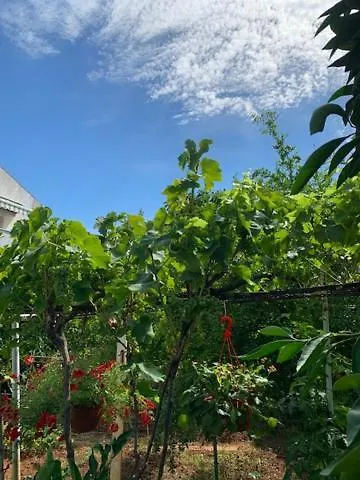 Romantic For Two Persons 3* Пореч