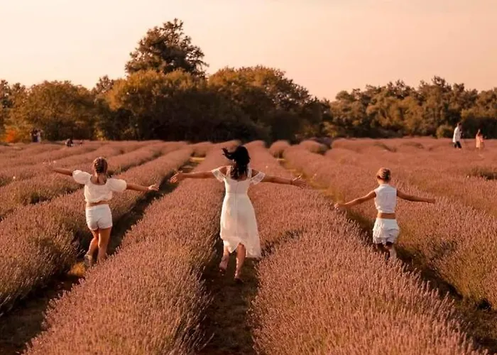 Гостевой дом Romantic For Two Persons