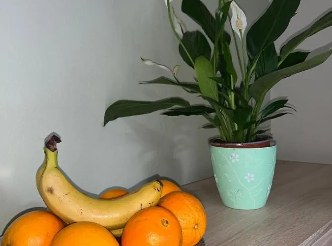 Romantic For Two Persons 波雷奇