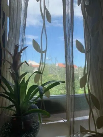 Romantic For Two Persons Гостьовий будинок Пореч