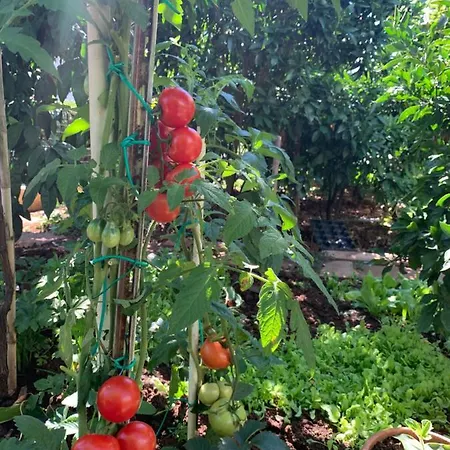 Romantic For Two Persons Vendégház