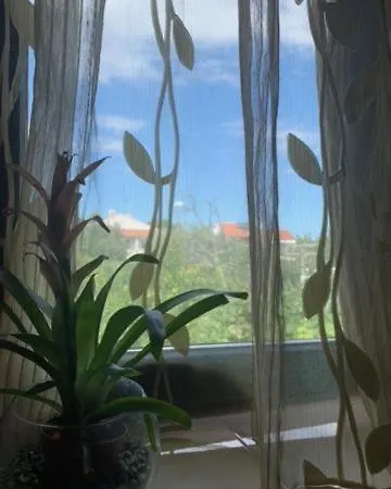 Romantic For Two Persons Vendégház Poreč