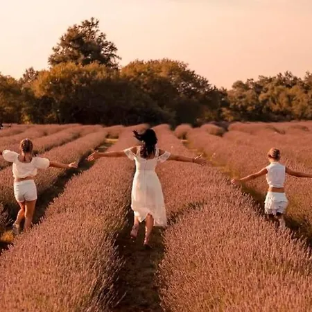 Vendégház Romantic For Two Persons